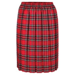 Napier Primary Academy - TARTAN SKIRT, Napier Primary Academy