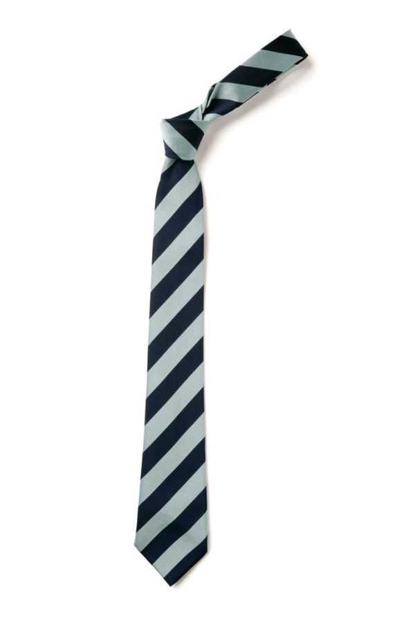 city of rochester tie