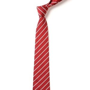 Walderslade Primary School - WALDERSLADE PRIMARY TIE, Walderslade Primary School