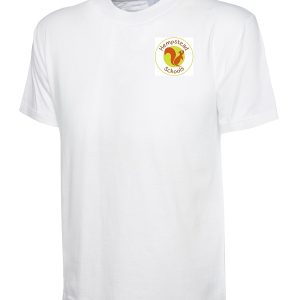 HEMPSTEAD SCHOOL - HEMPSTEAD PE T-SHIRT, HEMPSTEAD SCHOOL