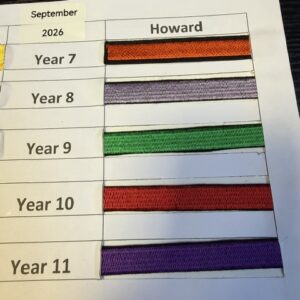 THE HOWARD SCHOOL - THE HOWARD HOUSE FLASH, THE HOWARD SCHOOL